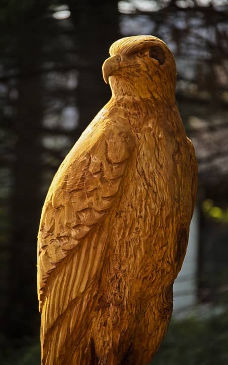 chainsaw carving for beginners free pattern