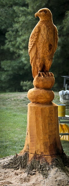 chainsaw carving for beginners free pattern