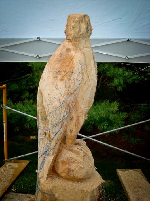 chainsaw carving for beginners free pattern