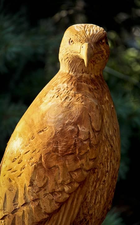 chainsaw carving for beginners free pattern